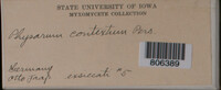 Physarum contextum image
